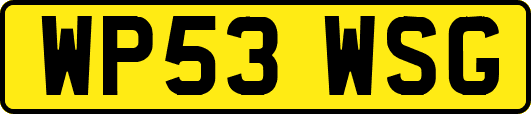 WP53WSG