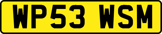 WP53WSM