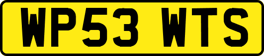 WP53WTS