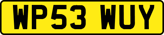 WP53WUY