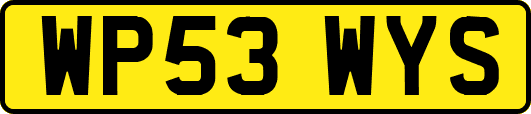 WP53WYS