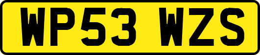 WP53WZS