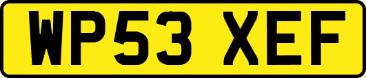 WP53XEF