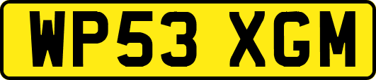 WP53XGM