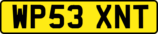 WP53XNT