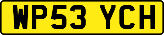 WP53YCH