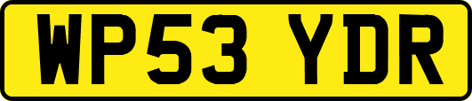 WP53YDR