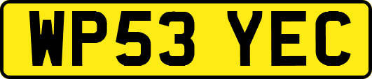 WP53YEC