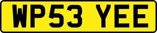 WP53YEE