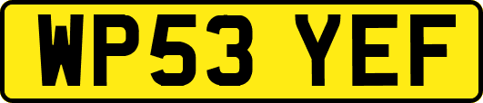 WP53YEF