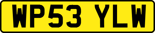 WP53YLW