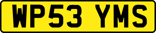 WP53YMS