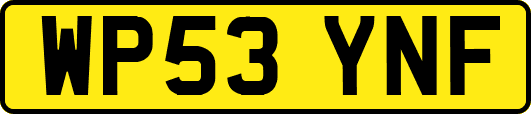 WP53YNF