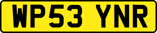 WP53YNR