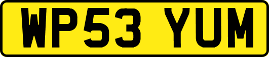 WP53YUM