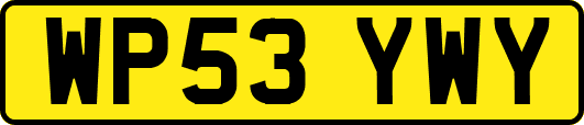 WP53YWY