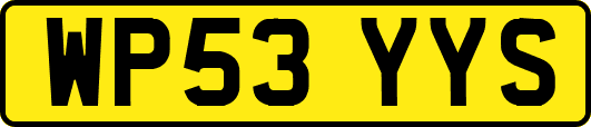 WP53YYS
