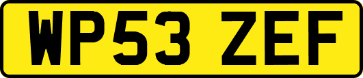 WP53ZEF