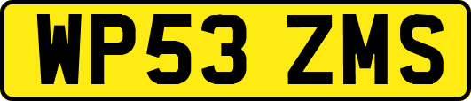 WP53ZMS