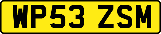 WP53ZSM