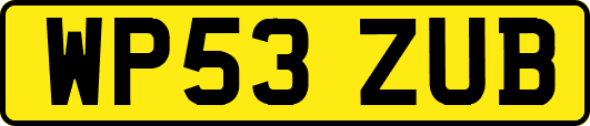 WP53ZUB