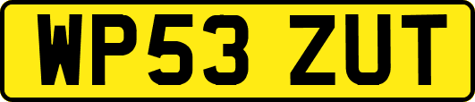 WP53ZUT