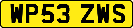 WP53ZWS