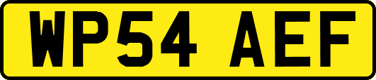 WP54AEF