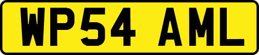 WP54AML