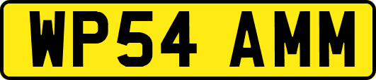 WP54AMM