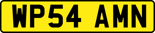 WP54AMN