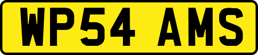 WP54AMS
