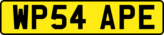 WP54APE