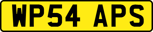 WP54APS