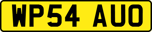 WP54AUO