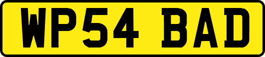 WP54BAD