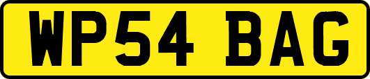 WP54BAG