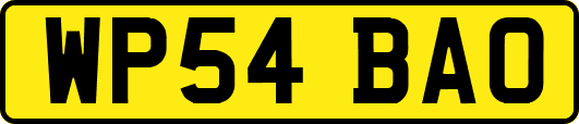 WP54BAO