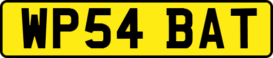 WP54BAT