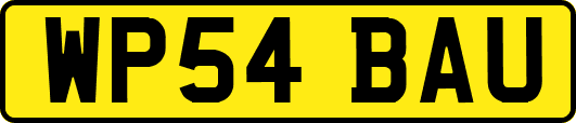 WP54BAU