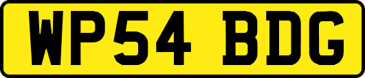 WP54BDG