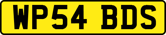 WP54BDS