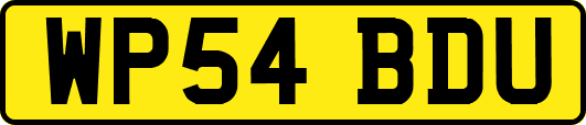 WP54BDU