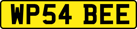 WP54BEE
