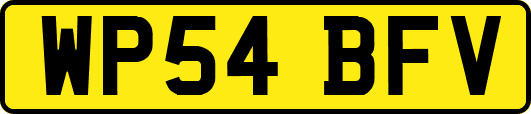 WP54BFV