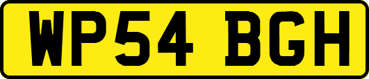 WP54BGH