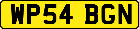 WP54BGN