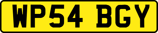 WP54BGY