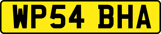 WP54BHA