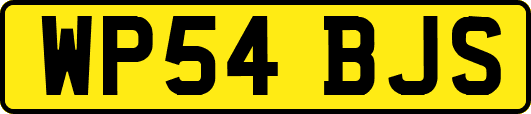 WP54BJS